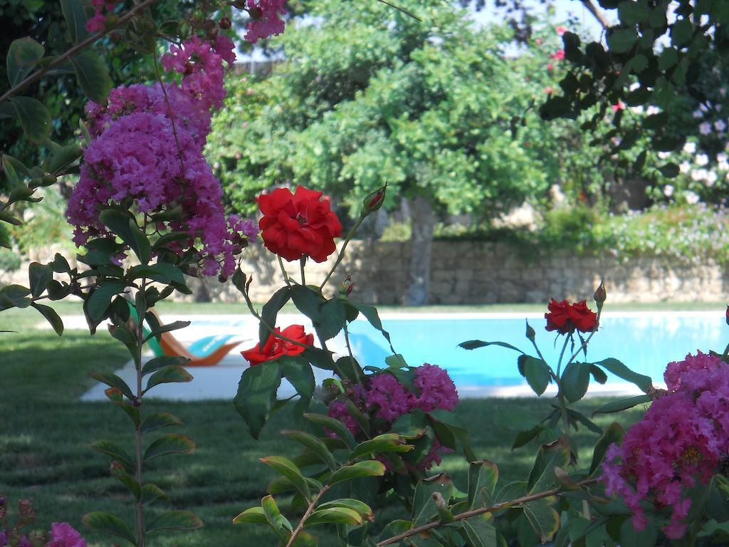 Il Giardino Dei Carrubi Villa Donnalucata Szoba fotó